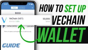 VeChain Ledger Nano S Wallet Guide