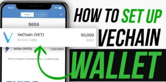 VeChain Ledger Nano S Wallet Guide
