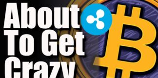 IT’S HAPPENING IN NOVEMBER You Need To Get Ready For This RIGHT NOW Crypto Is About To SURGE