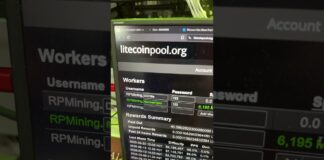 Fluminer L1 Pro DOGECOIN Miner is here!