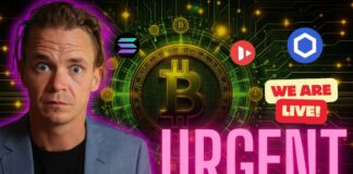 Urgent Bitcoin price Movements