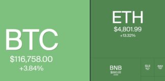 RATE CUT CRYPTO PUMP!