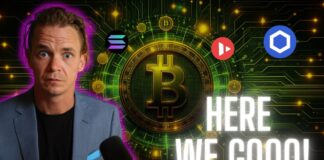 Solana, Bitcoin Avalanche Link and FETCH – Bull Market Continues