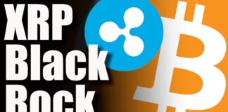 WE JUST GOT MAJOR RIPPLE XRP BLACKROCK NEWS Get Ready Everyone THIS WILL BE HUGE For Crypto
