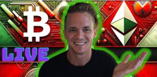 Bitcoin Rebounds- – New Wyckoff Ranges Forming-