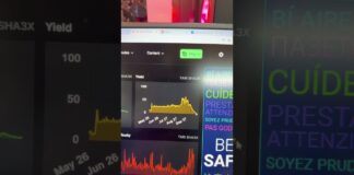 We all knew it… Goldshell XT Box Profits FALL!