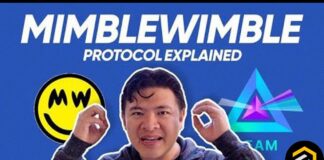 MimbleWimble Explained: Privacy is a MUST