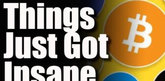 The Cryptocurrency Market Is About To Get A LOT CRAZIER We Just Got Some SHOCKING Updates