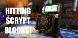 I Solo Mined a Coin NOBODY Is Mining… and Hit Blocks 😳 (Hammer Miner Test)