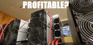 Is anybody making money with Crypto Mining right now? BEAR MARKET?