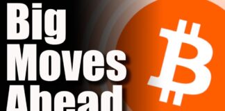 The Crypto Market Just Got BIGGER Two Cryptocurrencies Have Just Been Put On A Pedestal By The Rich