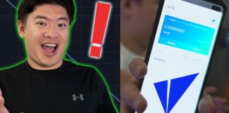 FREE Transactions to bring Mass Adoption? Vite Public Chain