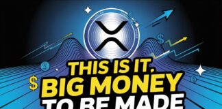 Ripple XRP “The Foundation Is Set” HUGE Robinhood Crypto News & Cardano ADA Finally Accepted