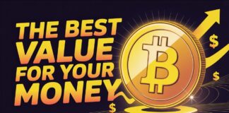 DCA Bitcoin Buying During A Crypto Bear Market It Looks Like A Company Will Do The UNTHINKABLE