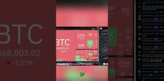 Bitcoin halving in 2 more years… $200k BTC?