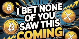 Major Changes For Bitcoin Investors Incoming We Might See Ripple XRP Become A Major New Asset Class