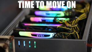 I have to say it. I have to say it.