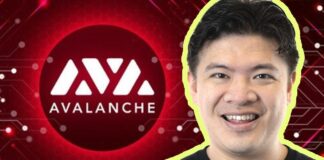 Avalanche (AVAX) Explained : What’s with all the HYPE